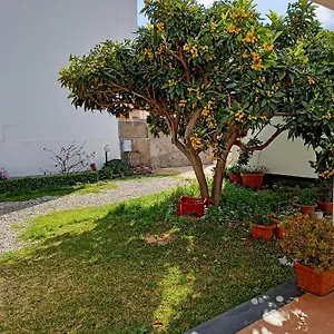 A Nespulara Bed & Breakfast Galati Marina